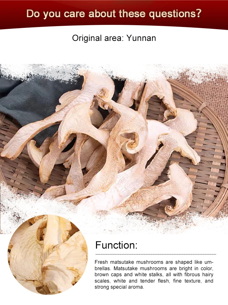 Yunnan High Quality Frozen Matsutake Mushroom Low Price Wild Tricholoma