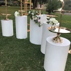 Wedding Hot Sale Decoration White Acrylic Round Plinth Backdrop Display For Wedding And Events