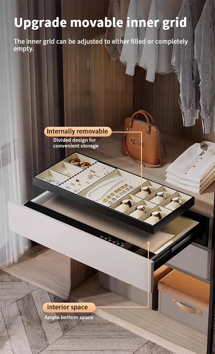 product ceqsafe smart luxury small household wardrobe with embedded automatic drawer safe smart password safe-18