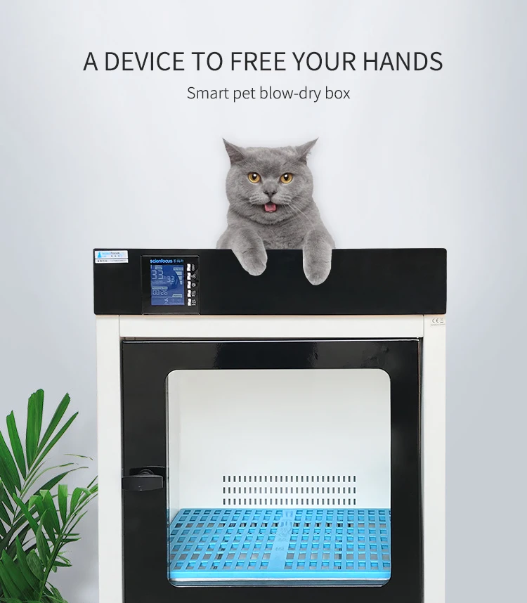 Blue Colour Fashionable Wholesale Manufacture High Quality Steel Pet Dry Room/