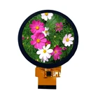 Tft 480x480 Tft Lcd Panel 2.1 Inch Round TFT Display 480x480 ST7701S TFT LCD Full Color Touch Panel