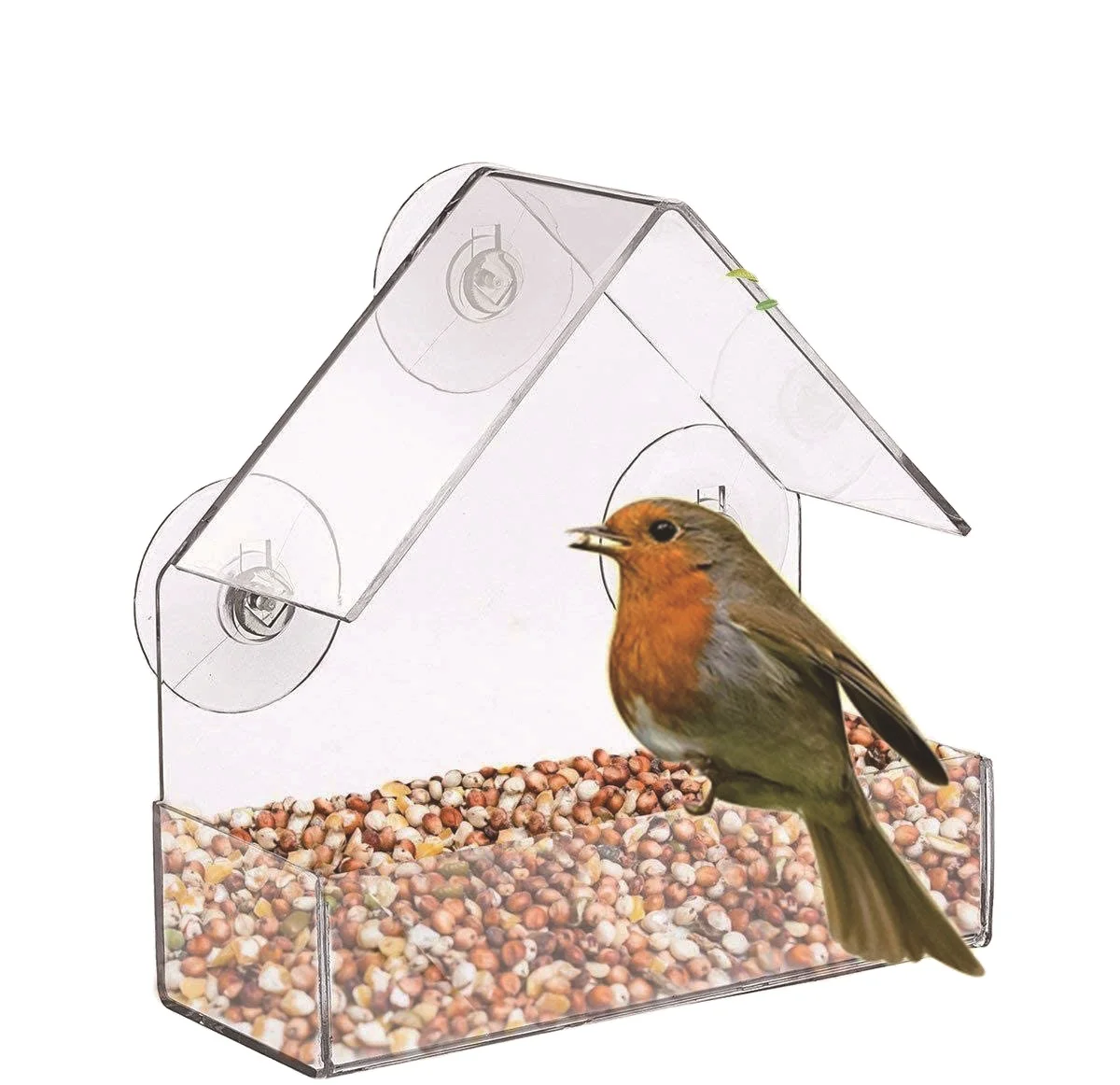 robin feeder cage