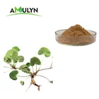 Herb Centella Asiatica Extract China Centella Asiatica Herb Extract Powder
