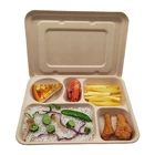 100% Natural 5 Compartment Disposable Sugar Cane Fiber Plates Eco-friendly Square Sugarcane Bagasse Tableware Food Tray