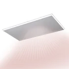Power Warming High Output Power Infrared Panel Heater Easy Warming Electric Heater With Light