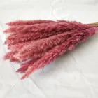 Wedding Factoy Wholesale Natural Small Dried Pampas Grass Phragmites Communis Wedding Flower Bunch Home Decor Diy Flower