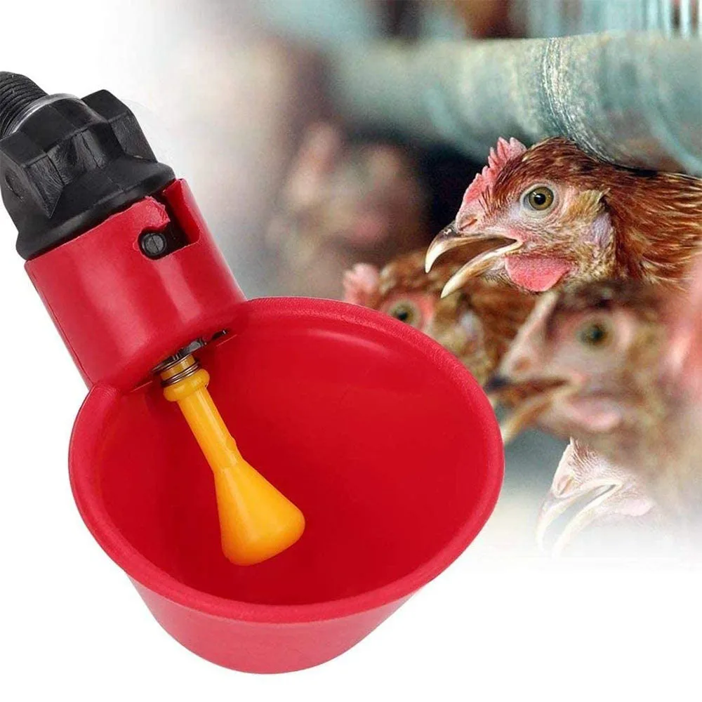 LSZZTY Poultry Water Drinking Cups Automatic Quail Chicken Drinker Plastic Chicken Fowl Drinker Cups Breeding Equipment 