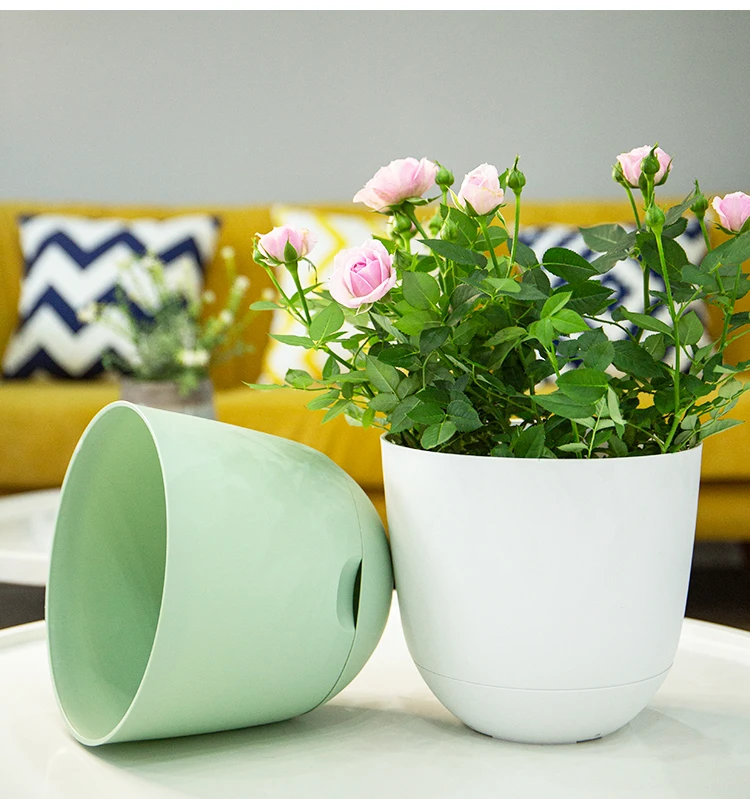 懒人吸水花盆出租客厅卧室室内圆形地板大花盆懒人花盆