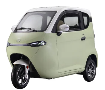 Tricycles Delivery Electric Cabin3 Wheels 60V Closed Cars with 3 Wheels Eec Electric Tricycle