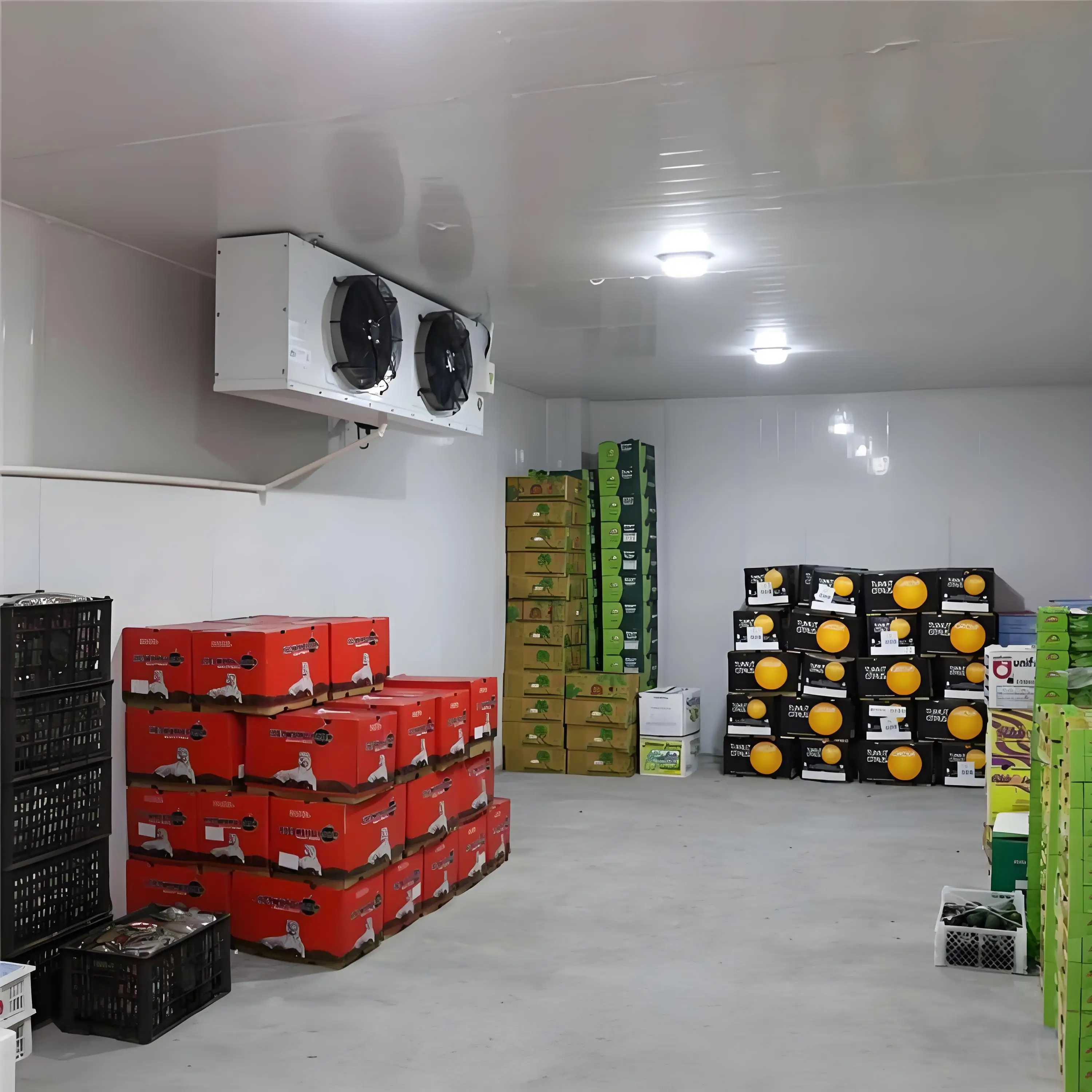 Cold Storage Room Motor, 220V, 55 W - detail 2