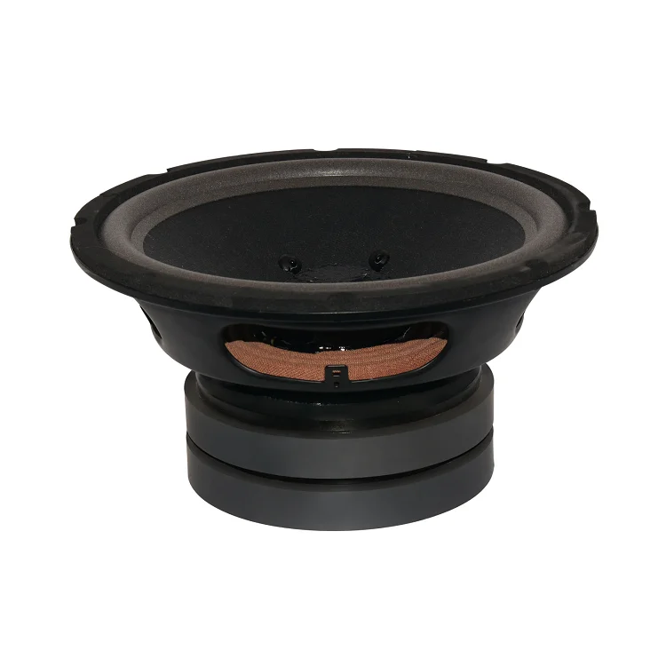 Low Frequency 10 Inch Karaoke Speaker 