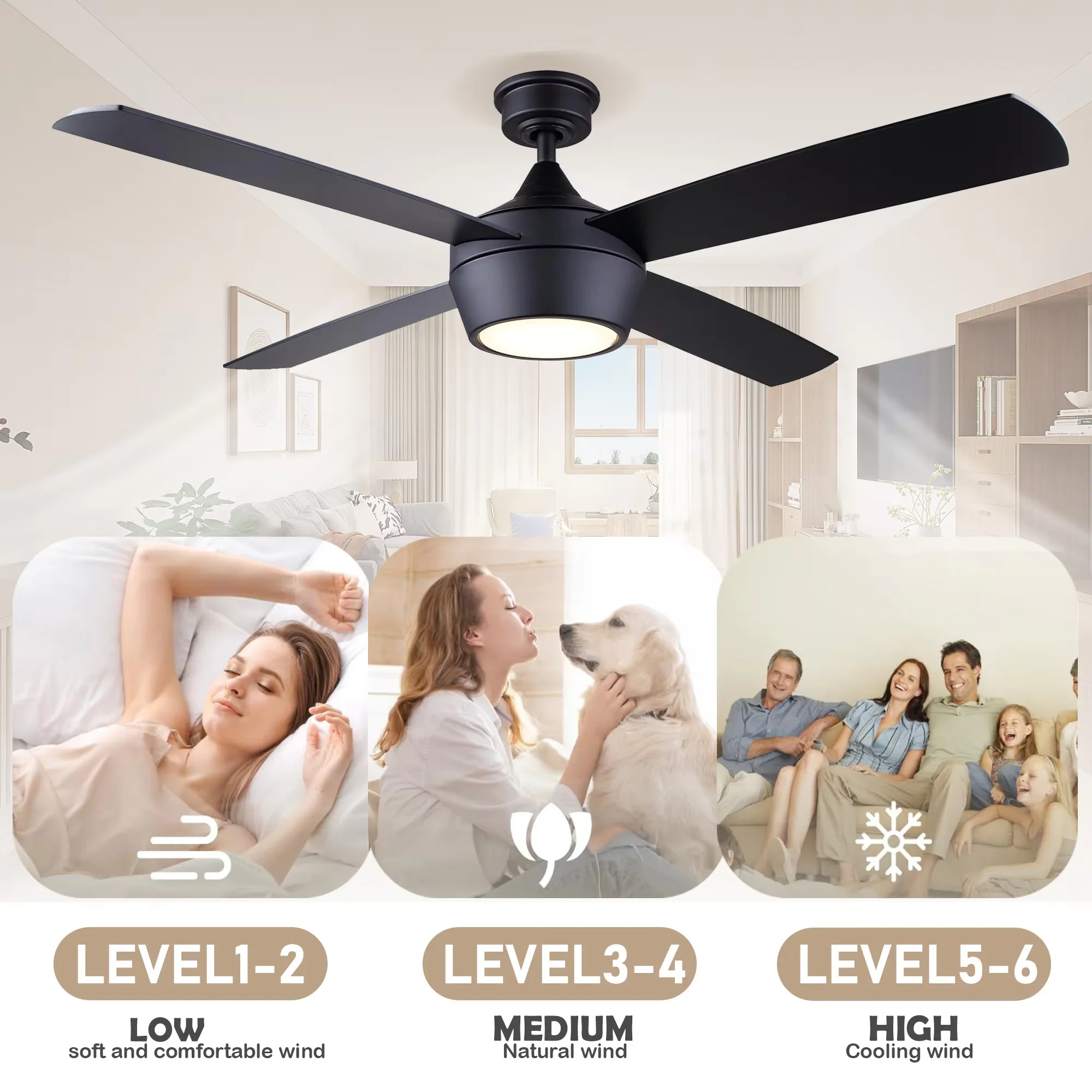 Ceiling Fan, Metal+Solid Wood - detail 4