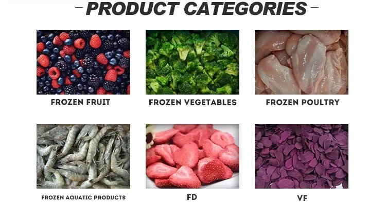 Hot Sale IQF Frozen Vegetables Broccoli Frozen Broccoli with Good Price supplier
