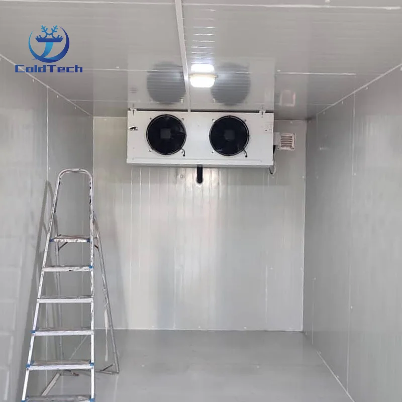 Room Refrigeration Storage Freezer, 220V, R134a - detail 4