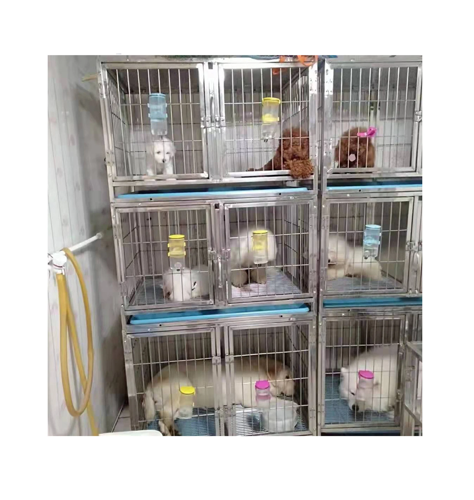 rabbit steel cage