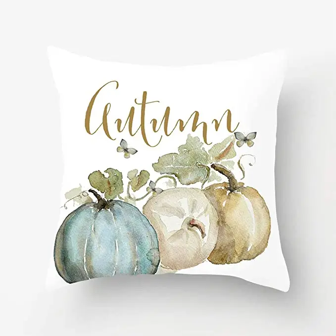 pumpkin pillow cases