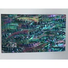Abalone Shell HCX013 Black Abalone Japanese Abalone Shell Paper