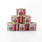 For YIJIA Canned Tomato Sauce 850g For African