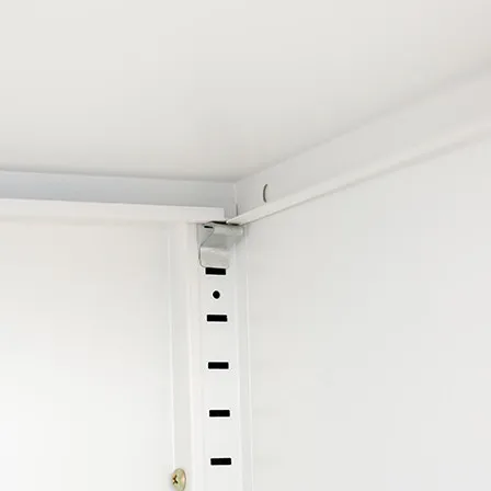 Haupt-Glastür-Stahlspeicher-Kabinett der Reihen-2 mit Füßen 5