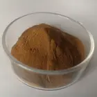 Solvent Extraction Pure Natural Dried Herbal Extract Solvent Extraction Mulberry Leaf Extract For Sale