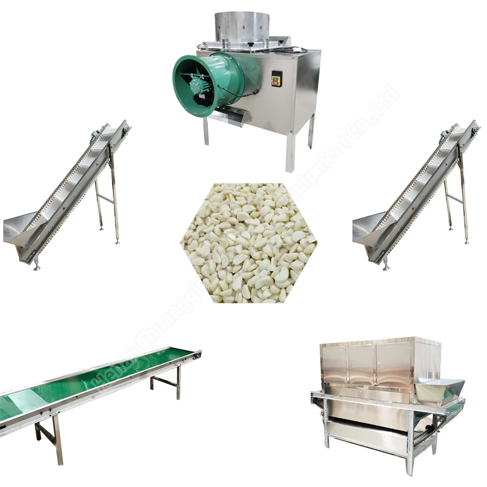 Chain Type Garlic Peeling Machine Onion And Garlic Peeler Machine Buy