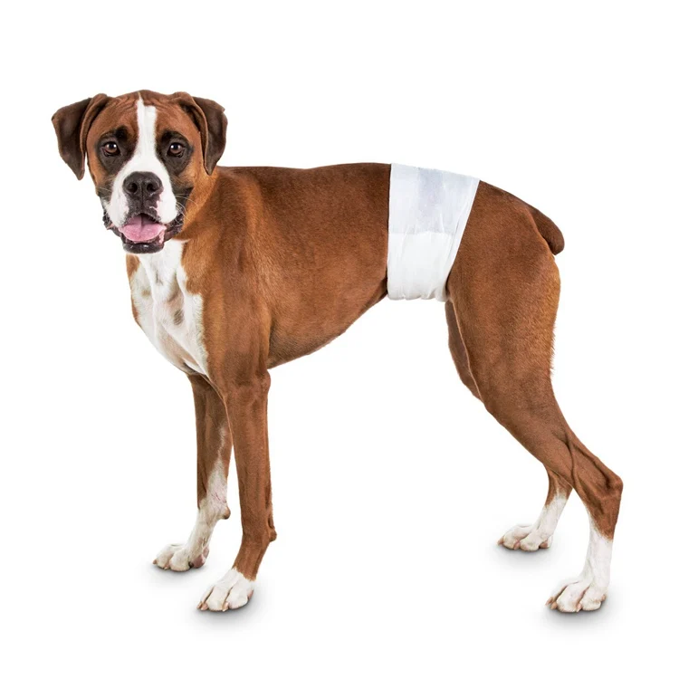 Does Petco Sell Dog Diapers