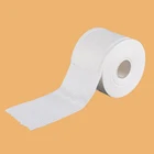 Wet And Dry Fast Dry Disposable Facial Cleaning Towel Roll Face Non Woven Beauty Wash Towel Make-up Removing Wholesale
