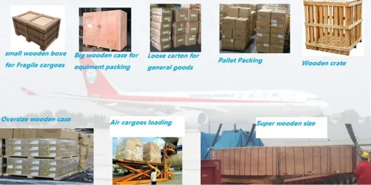 Sea Freight Shipping Agent China To USA DDP Freight Forwarder Sea Cargo Freight Agent