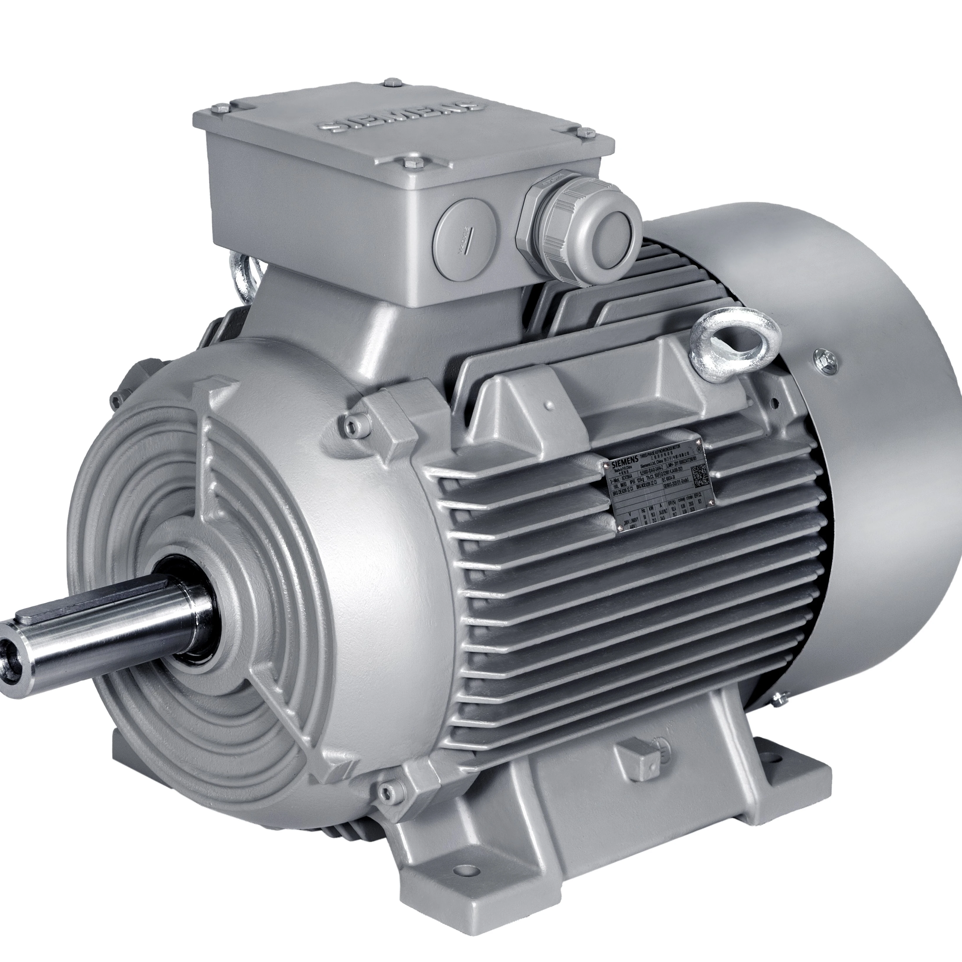 Siemens electric motor 230/380 AC Voltage and CE Certification