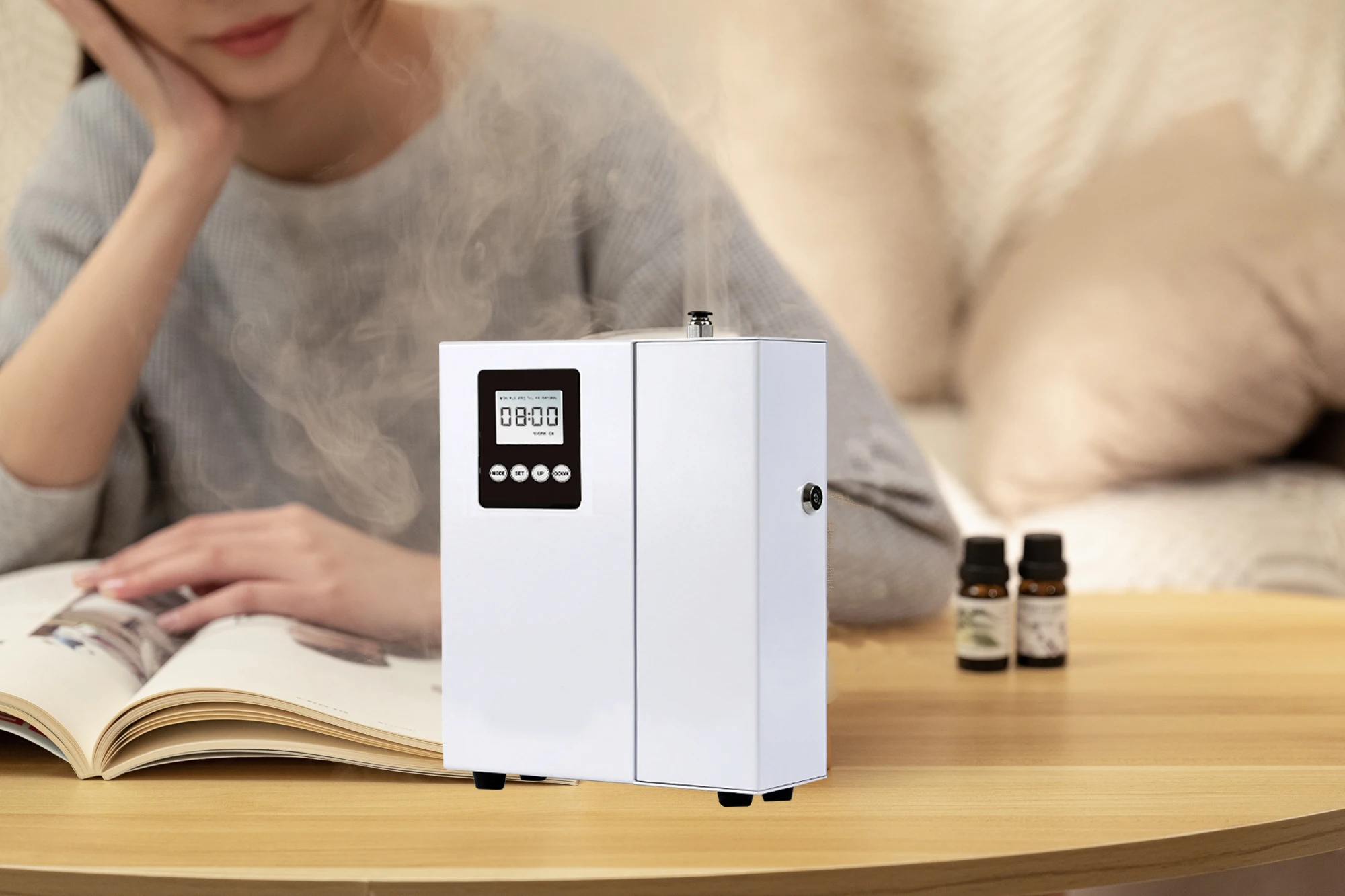 800ml Capacity 12V Silent Operation Essential Oil Diffuser for Commercial Use with Bluetooth WIFI APP Control