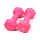 Gym Equipment Gym Equipment Dumbbells Weight Dumbbells Vinyl Hex Rubber Dumbbell