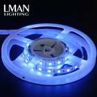 Led Led Strip Led Lamps Commercial Home Decorative Strip DC12V 24V SMD 5050 60leds/m RGB Led Lamp