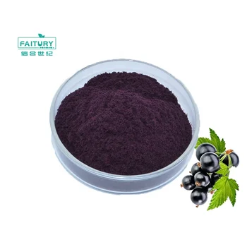 Natural Anthocyanidins Organic Acai Berry Fruit Powder Acai Berry