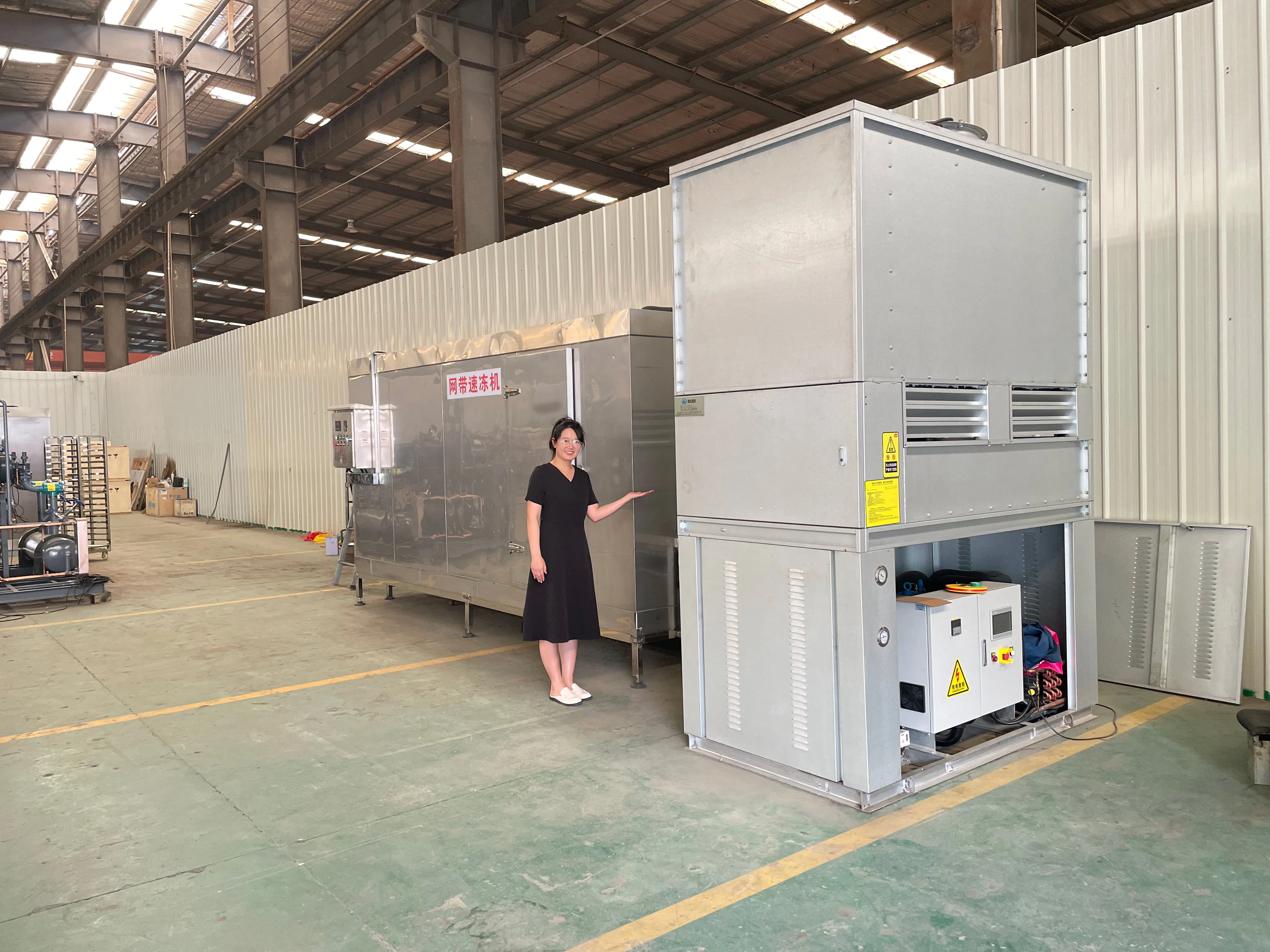 Small Quick Freezer, 100-1000kg, Plate Freezer - detail 40