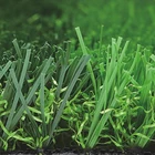 Grass Artificial Garden Grass Carpet For Football Landscape Playground