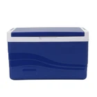Cool Picnic Cooler Box 5L Insulated Ice Cool Box Picnic Portable Cooler Box