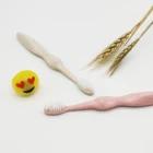 Wheat Latest Private Label Wheat Straw Handle Children Toothbrush