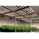 Led King Lights Light Led Led Hydroponics King E Series Viparspectra Wenyi Lights Pro 1650E Gavita Grow Light