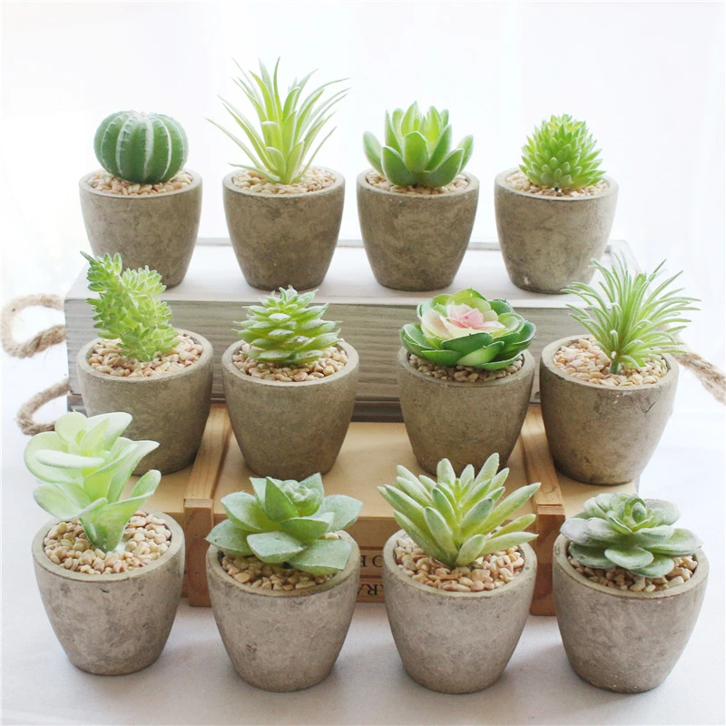Artificial Faux Succulent Cactus Cacti Plant in Concrete Pot Indoor Garden Gift 
