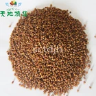 Herbal Tea Bulk Black Buckwheat With Corn Herbal Tea For Weight Loss And Daily Drinking