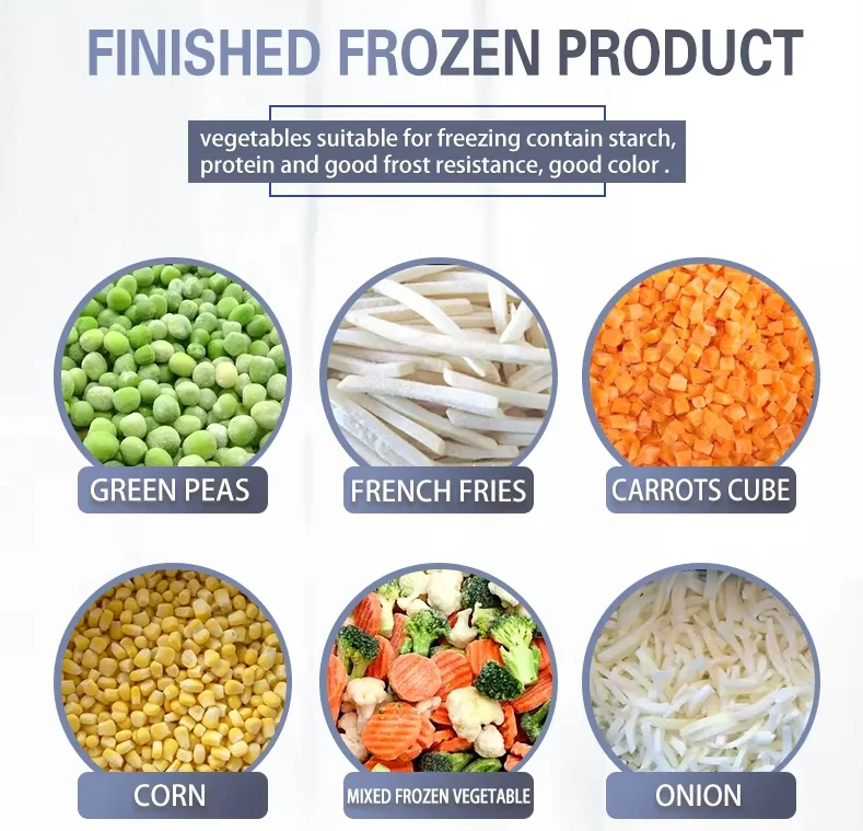 Shanghai IQF Quick Freeze System for Fresh Fruits & Vegetables Instant Frozen Vegetable Machine