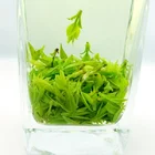 Slimming Teas Herbal Tea 250g/can Chinese Slimming Teas Kuding Herbal Tea Leaf