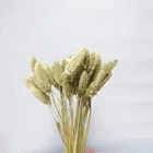 Day Yunnan Popular Wholesale Natural Decorative Flowers Dried Gem Grass For Mothers Day