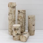 Craft Birch Branches Birch Twigs Wood Logs Craft Centerpieces For Arts Craft Christmas Decor