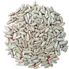 Oil Sunflower Seed Chinese Top Quality White Confectionery Bakery Grade Oil Sunflower Seed Kernels