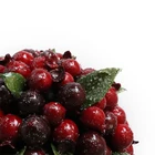 Holiday 14cm Artificial Red Berry Hanging Ornament Wedding Holiday Christmas Kissing Ball
