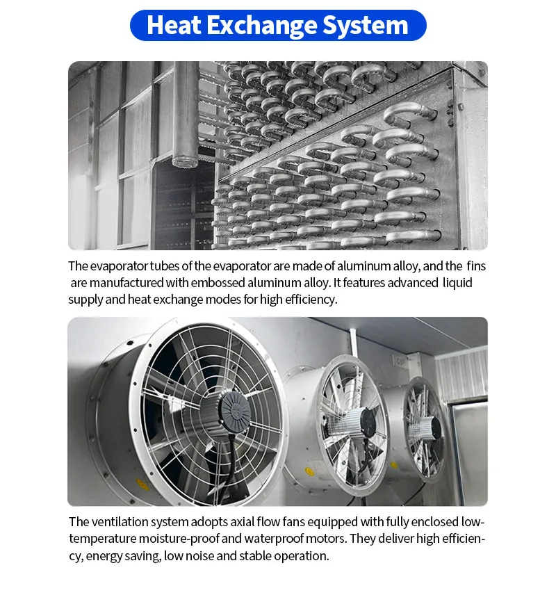 Freezing Equipment, IQF, 110v-380v, Stainless Steel 304 - detail 16