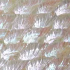 Shell Abalone XUNBEI Wholesale Natural Mother Of Pearl Shell Paper Abalone Shell Price