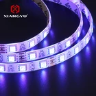 Green Led Led Led Led Strip Light Red Green Blue CCT Decorative SMD 5050 DC 12V 24V 10W Led Strip Light Price List