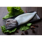 Squid Good Price Frozen Squid Tubes Giant Squid T T Frozen Bulk Squid T T